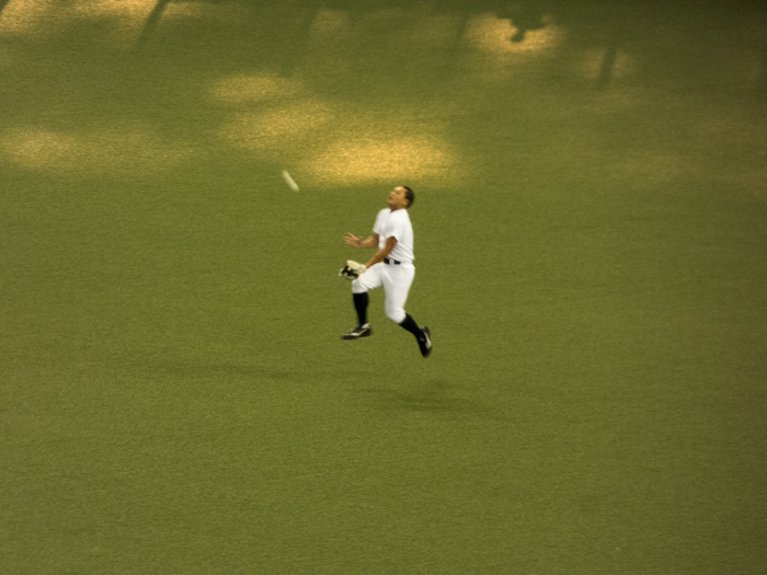 フライキャッチ